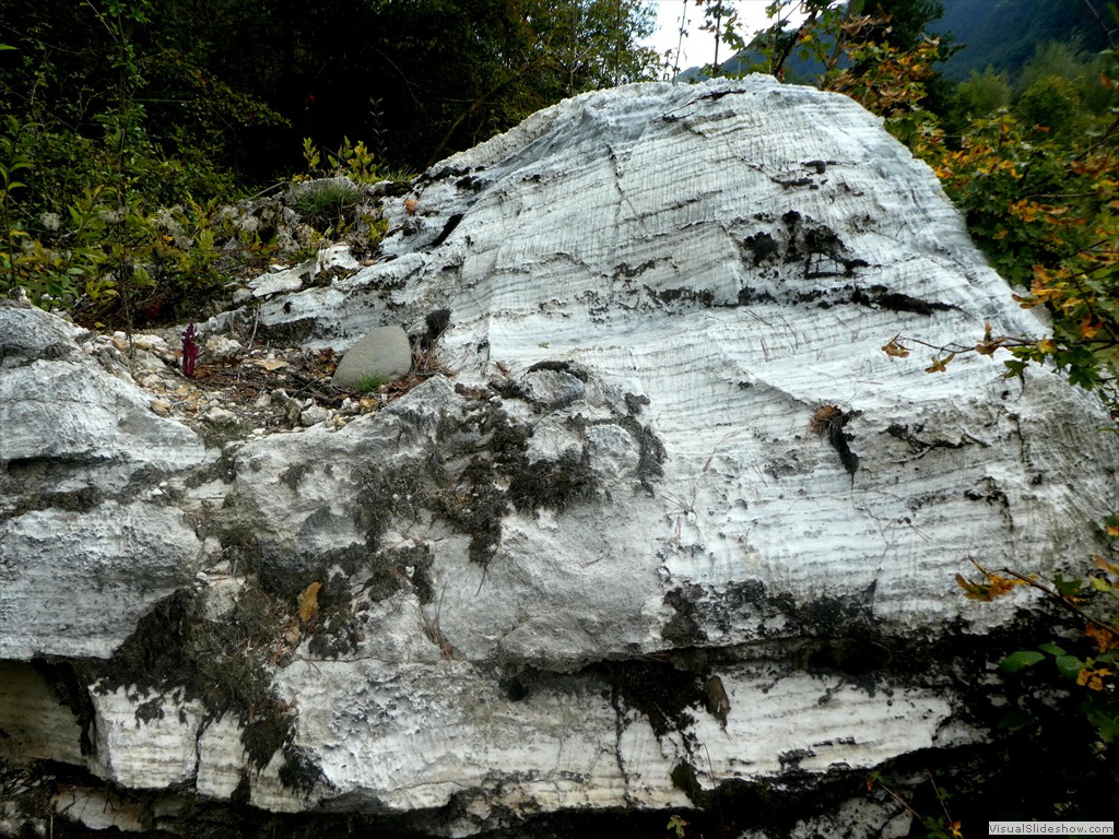 P1030557