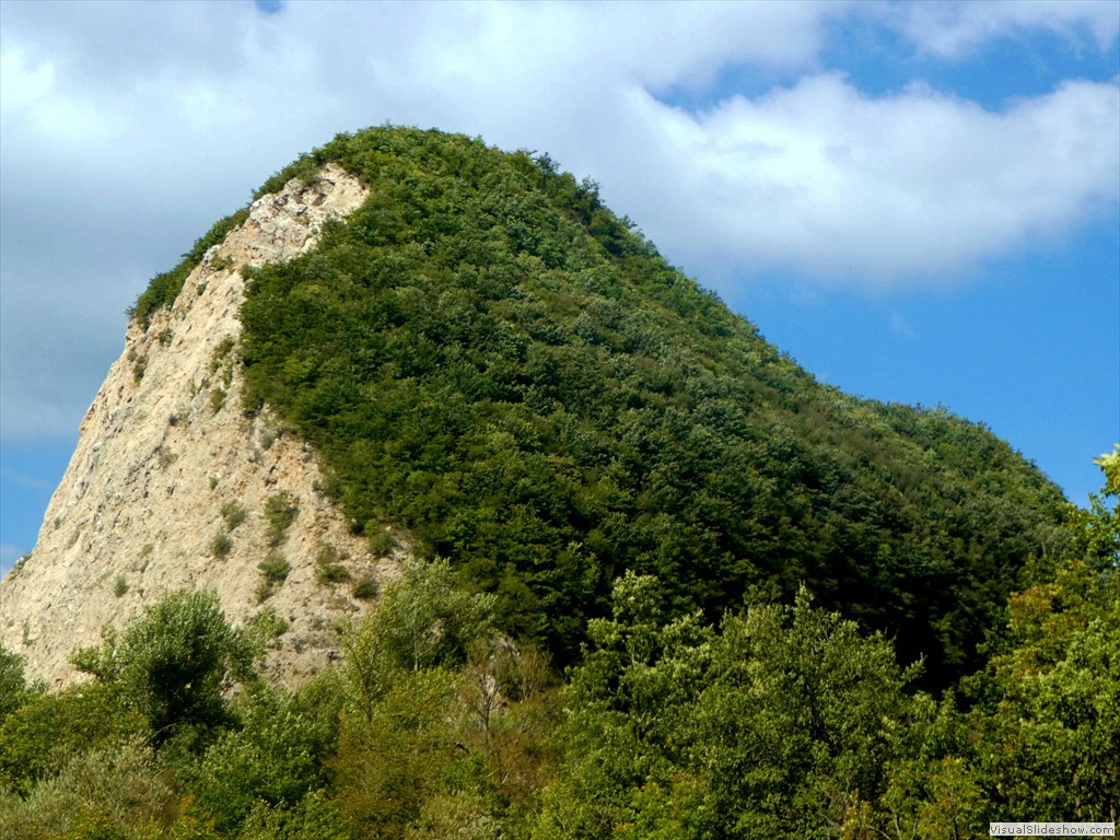 P1030561