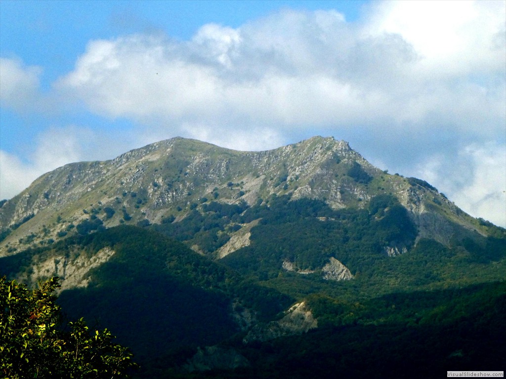 P1030562