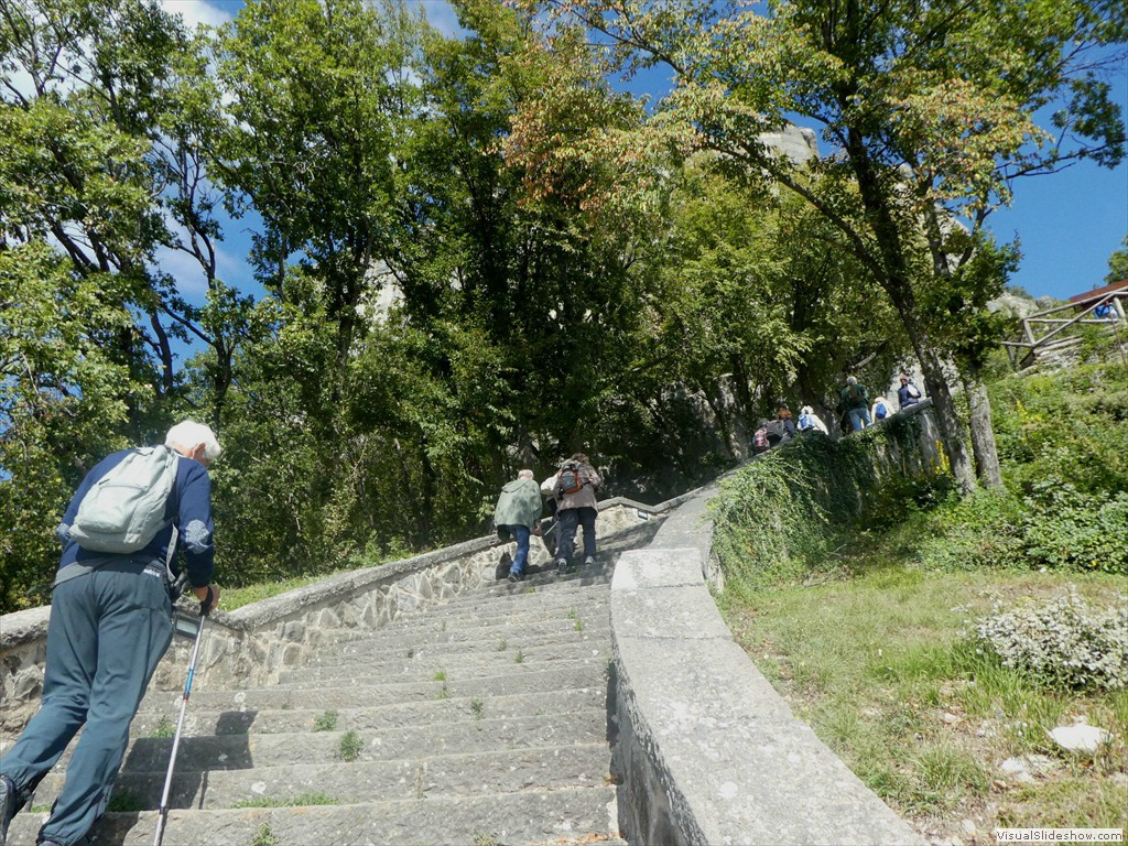 P1030567