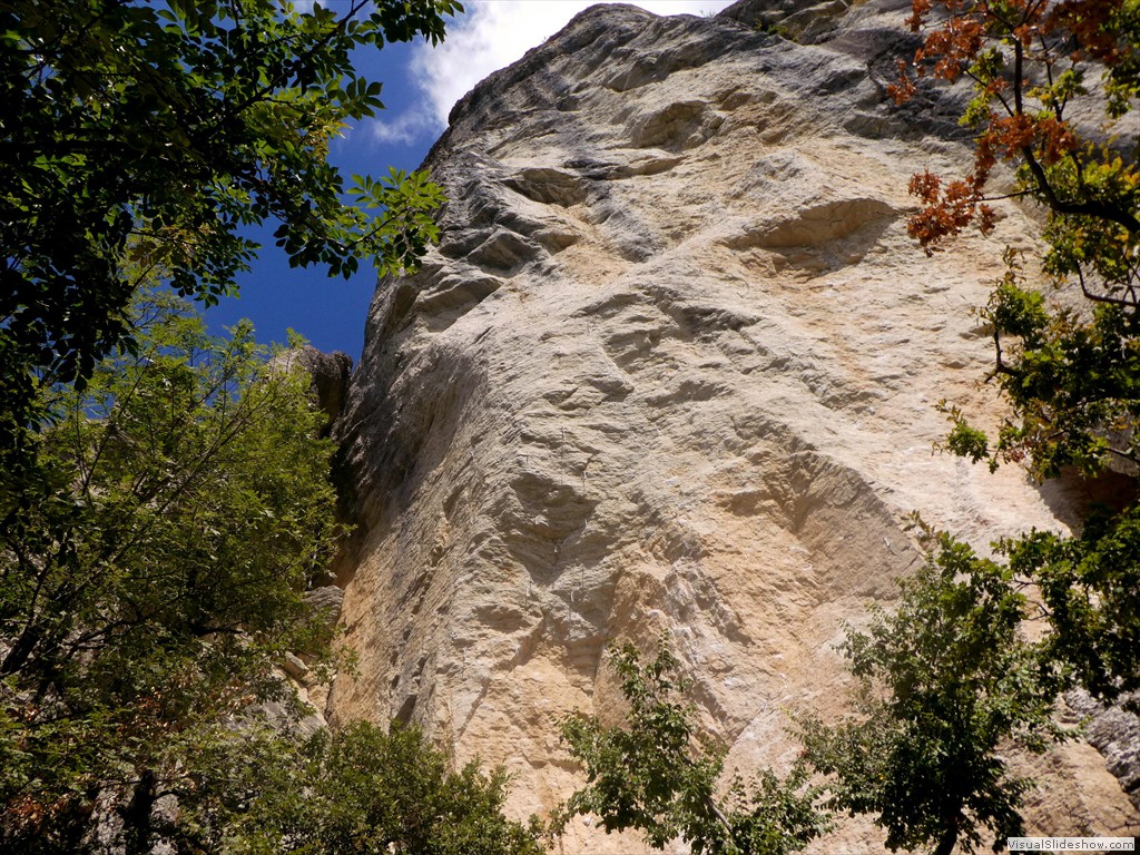 P1030572
