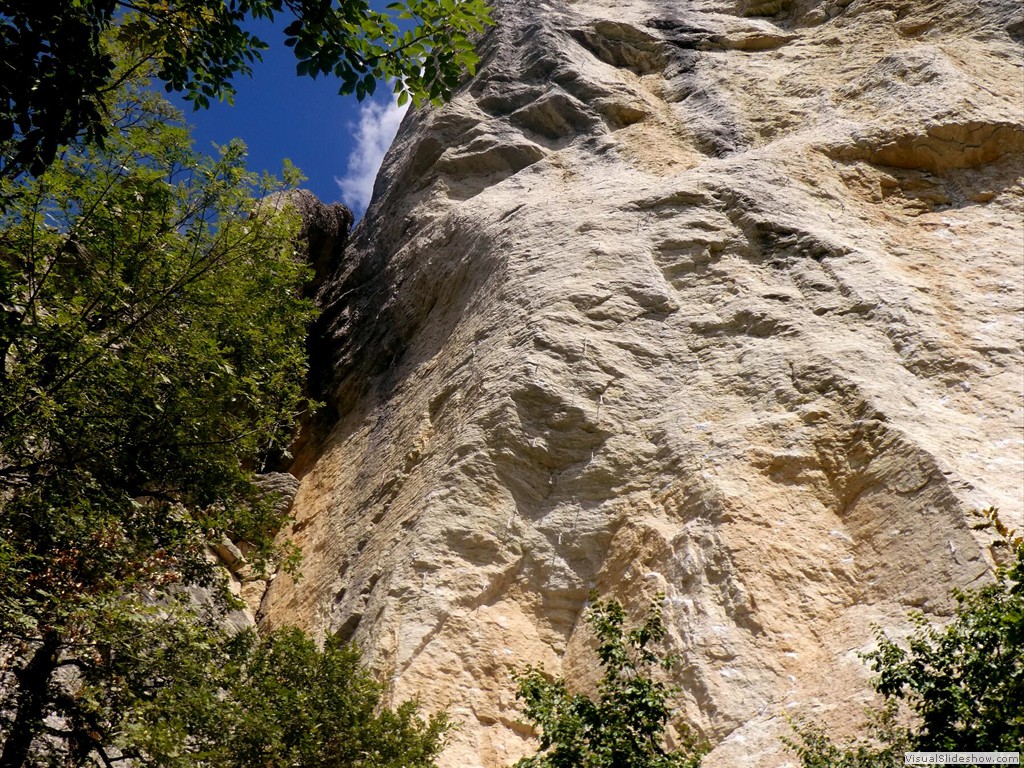 P1030573