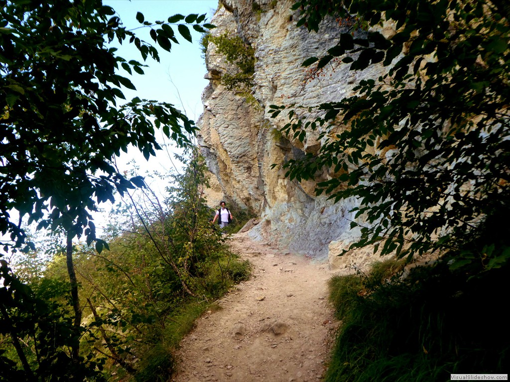 P1030579