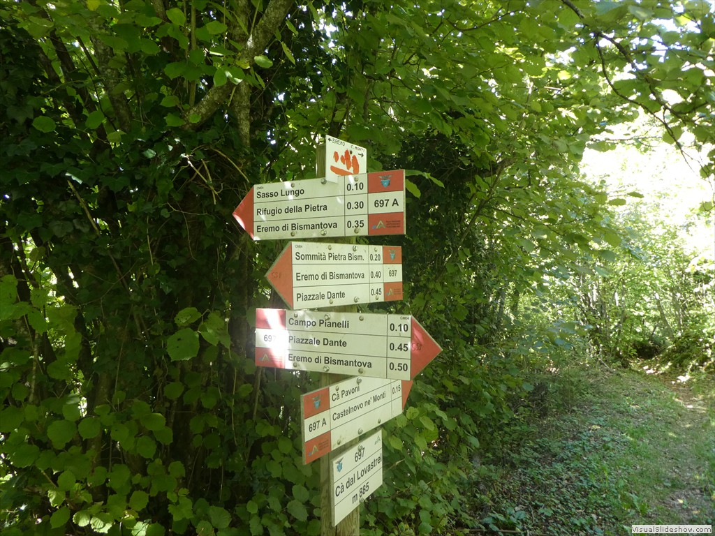 P1030607