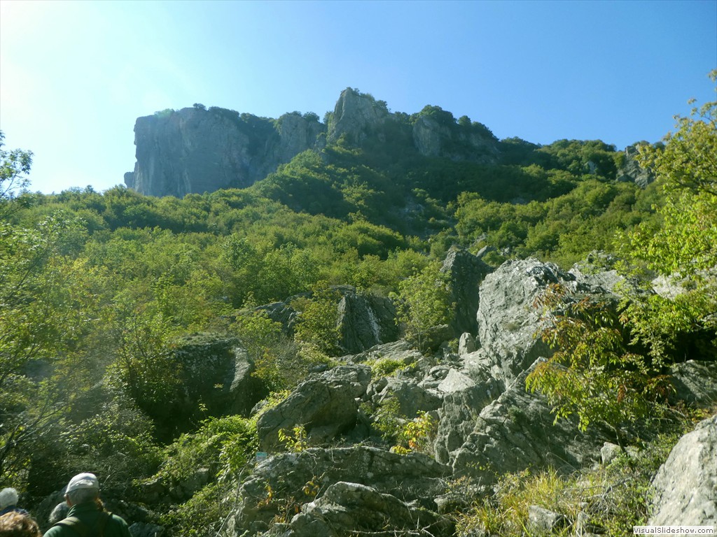 P1030619