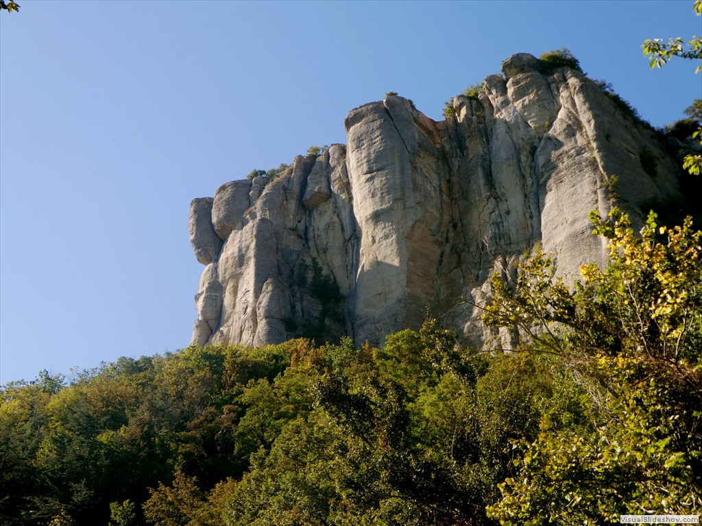 P1030627