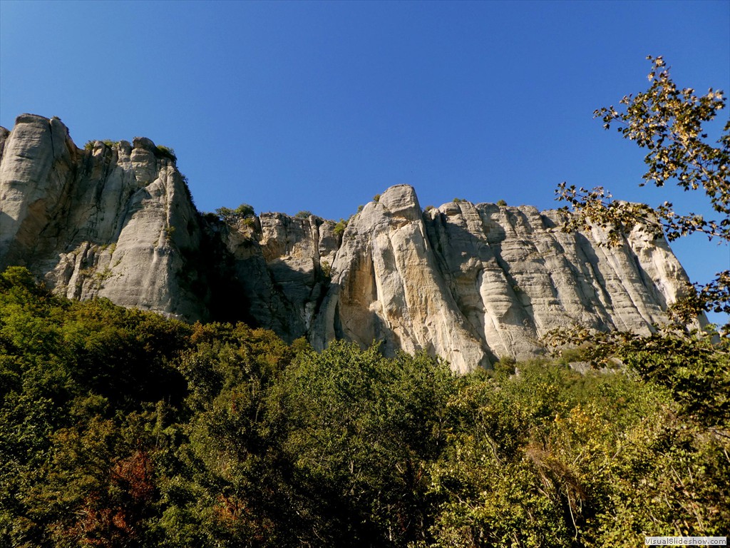 P1030628