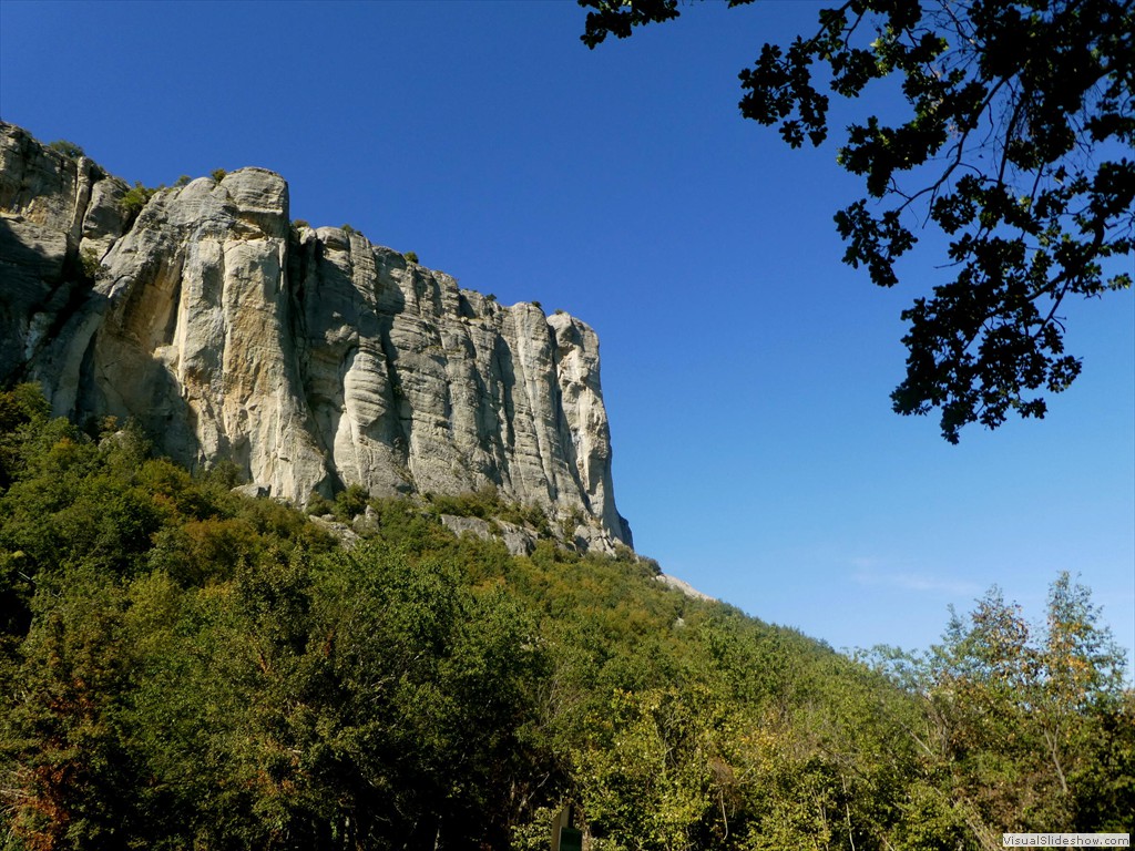 P1030629