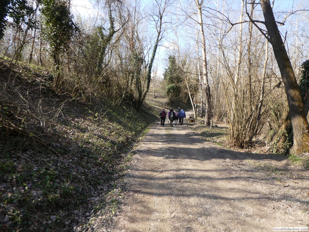 P1060619