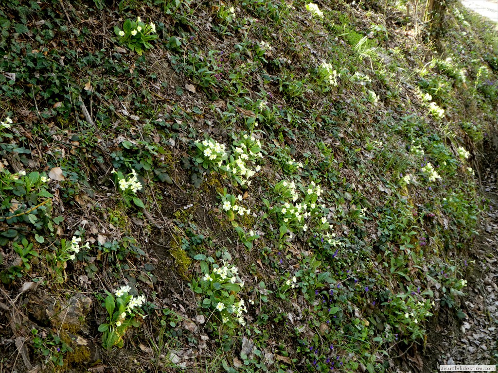 P1060621