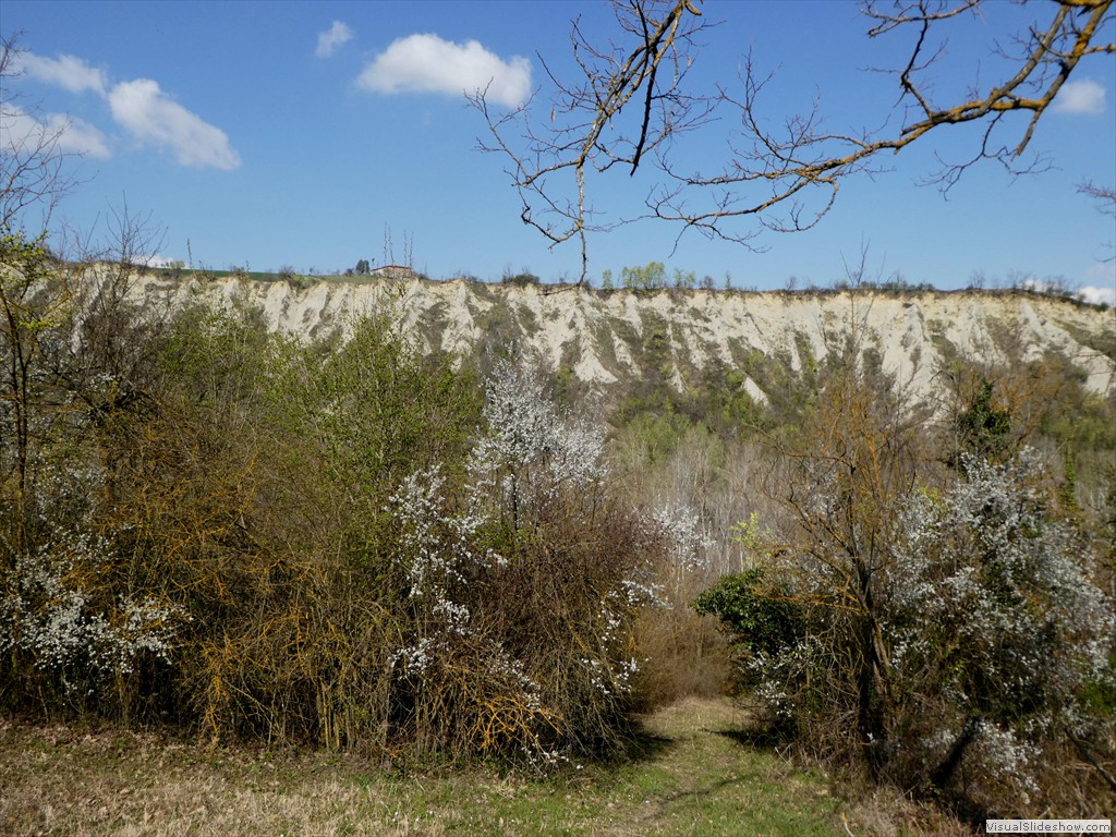 P1060623
