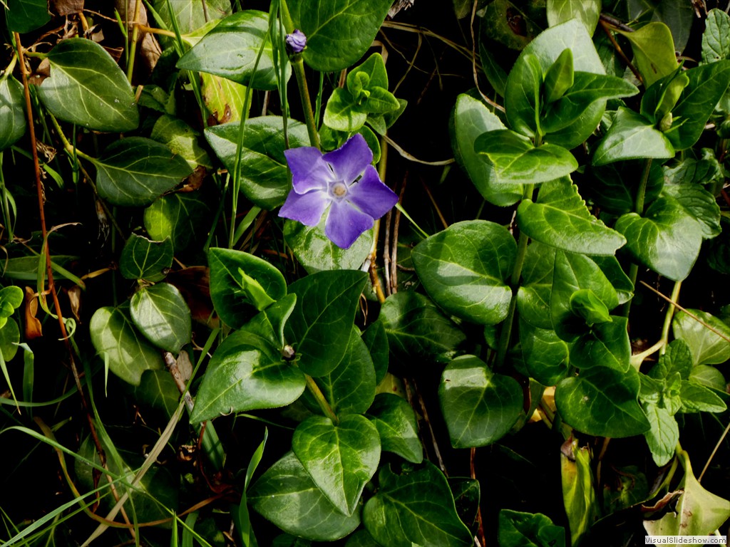 P1060640