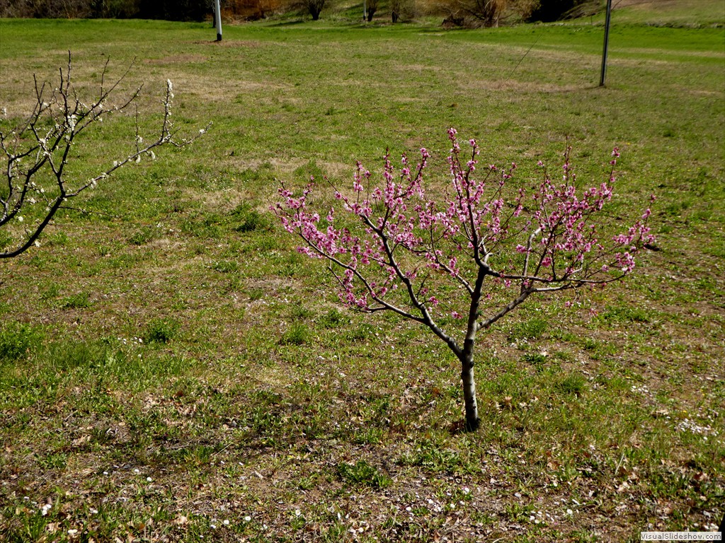 P1060647