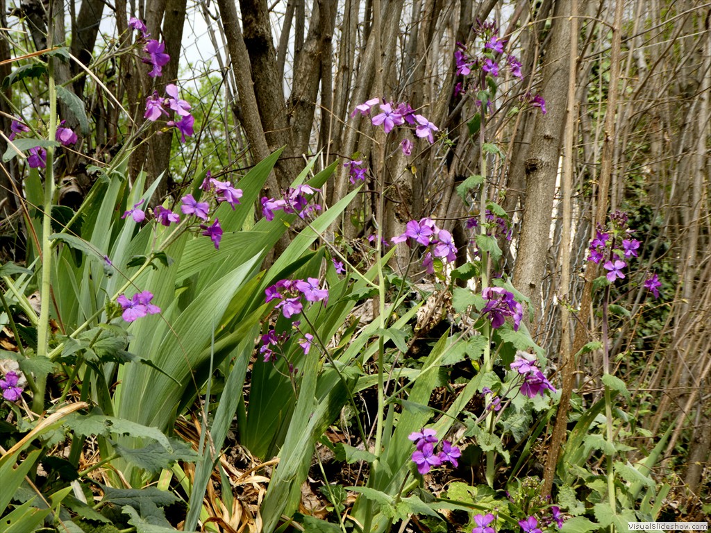P1060650