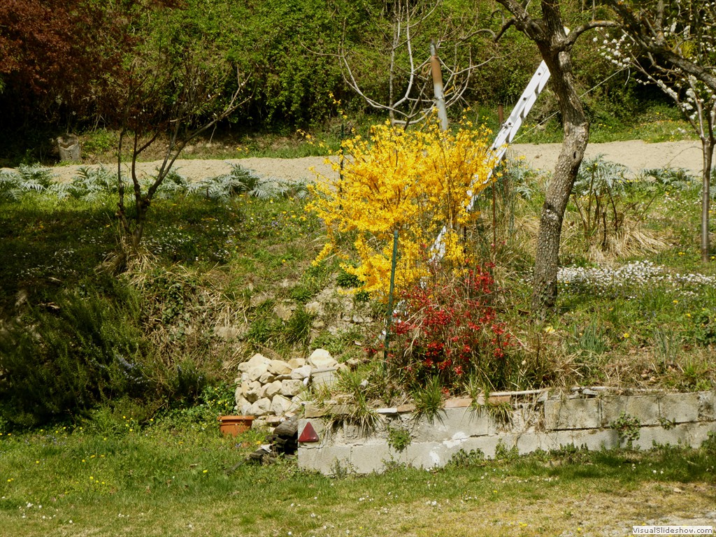 P1060656