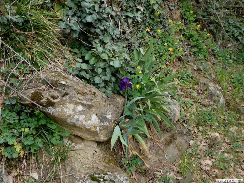 P1060662
