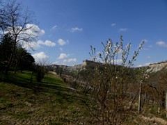 P1060628