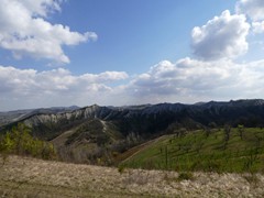 P1060631