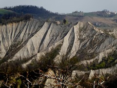 P1060639