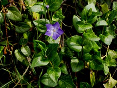 P1060640