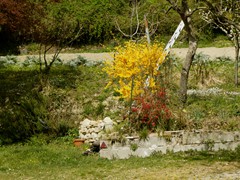 P1060656