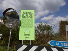 P1060659