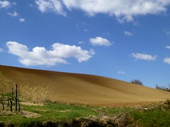 P1060673