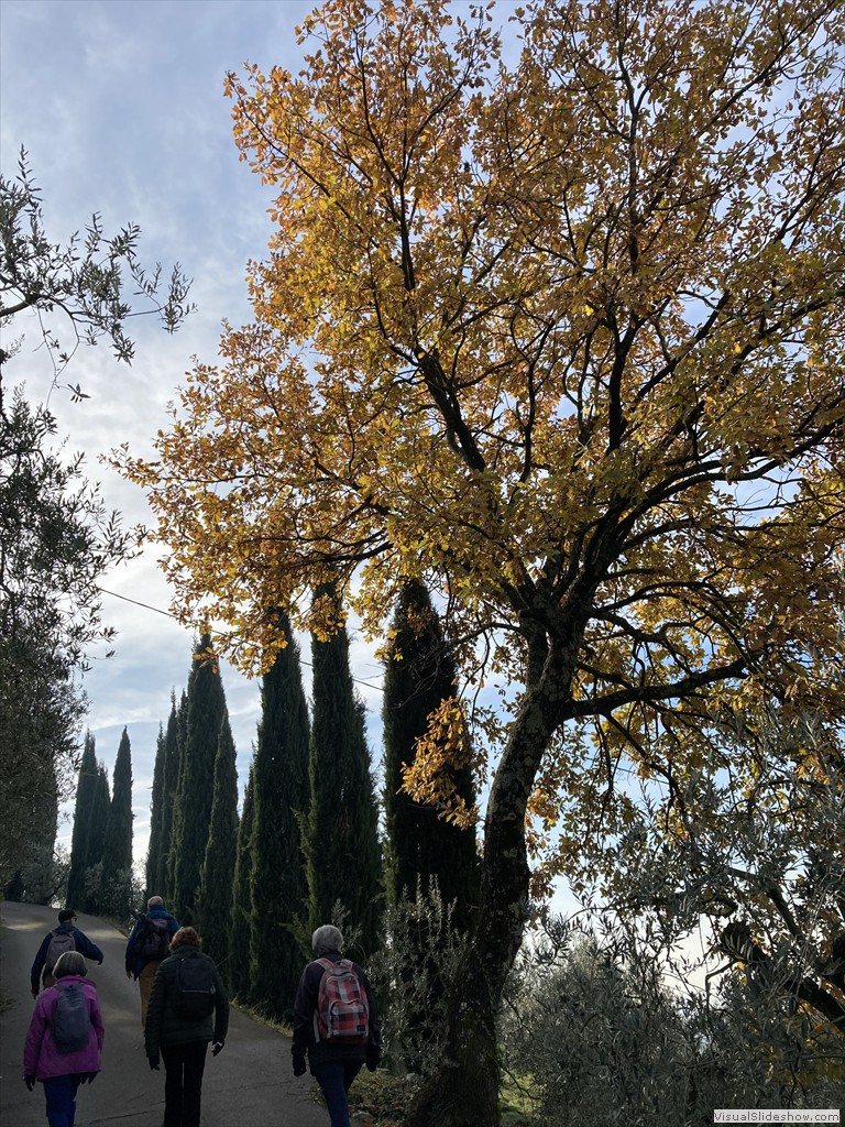 IMG_1930