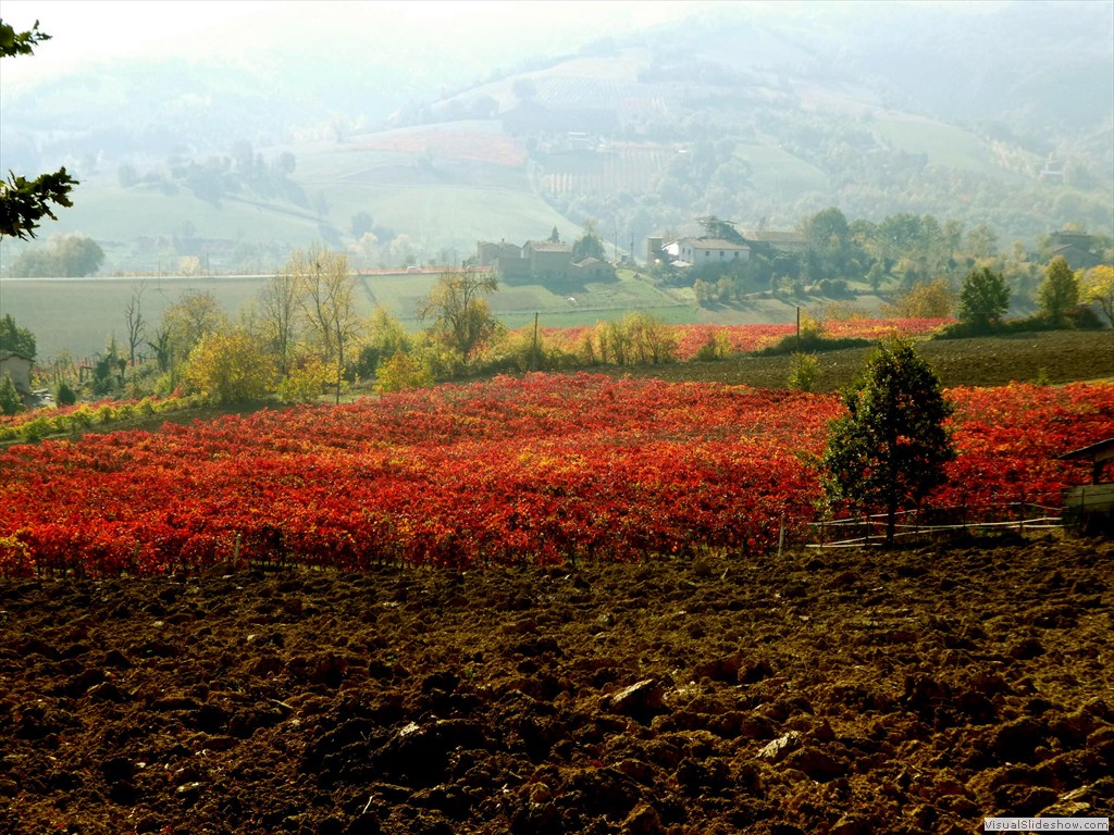 P1090646