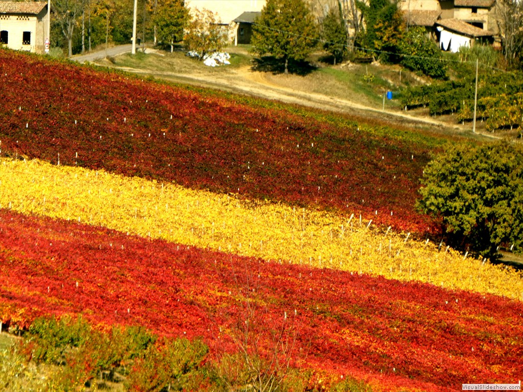 P1090656