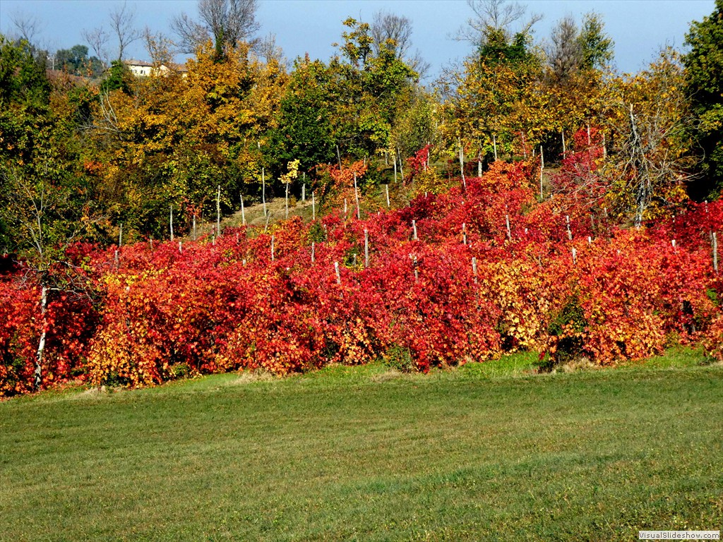 P1090673