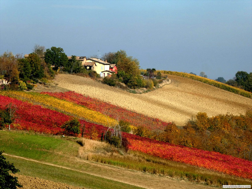 P1090678