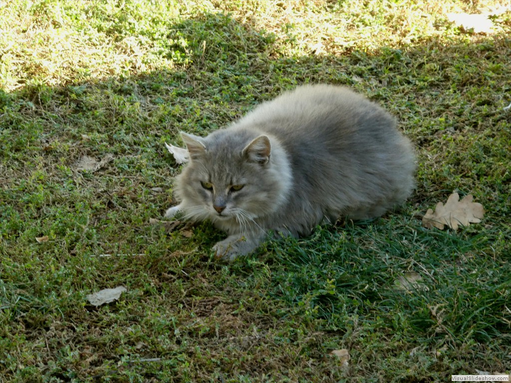 P1090710