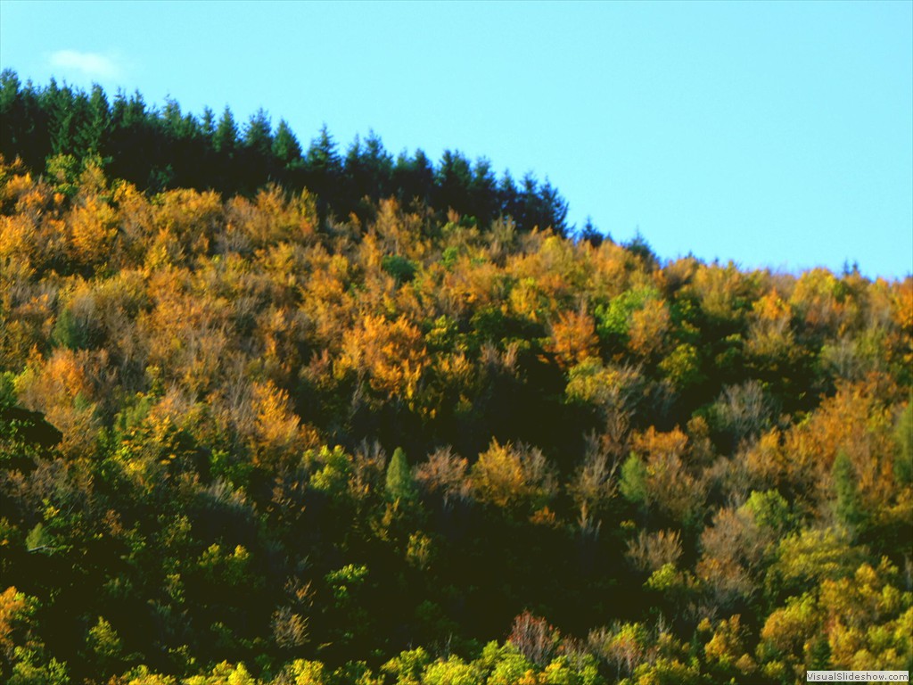 P1040069