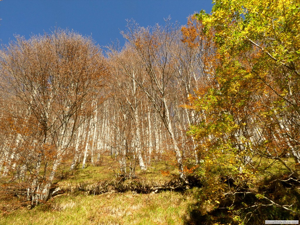 P1040081
