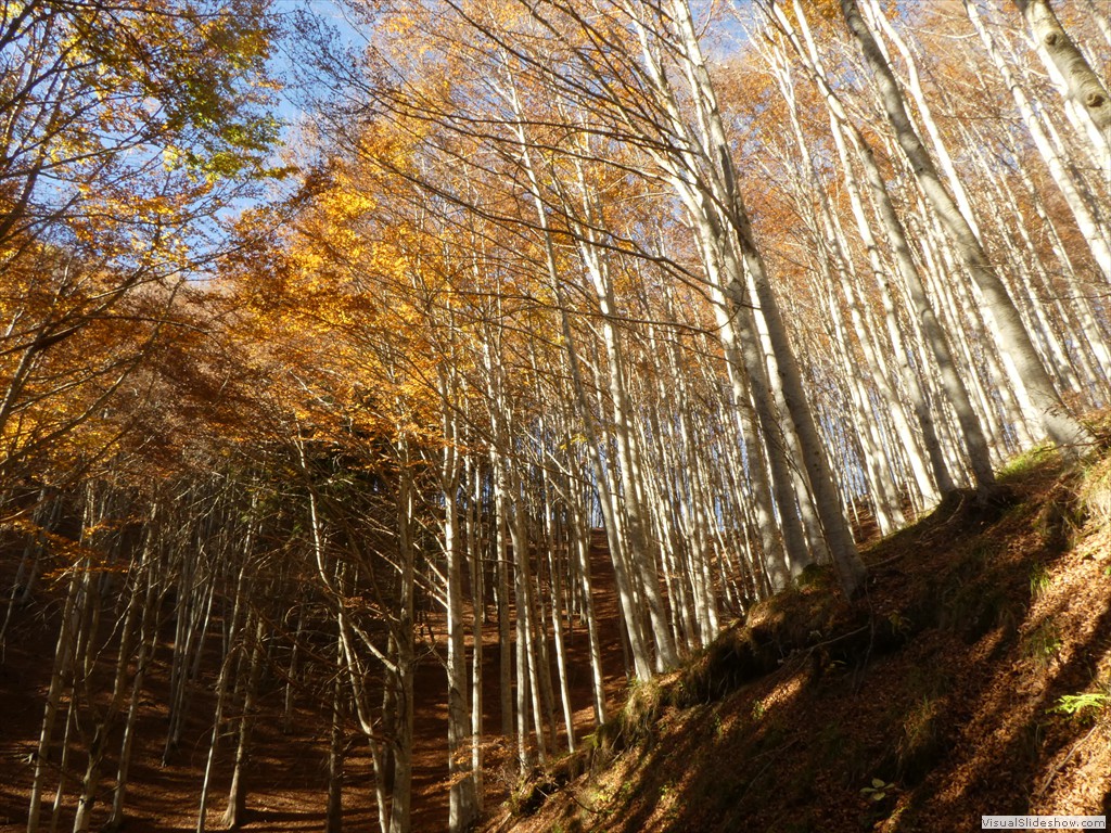 P1040088