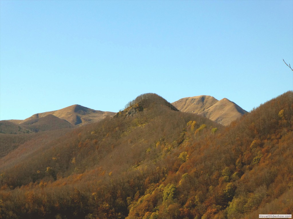 P1040098