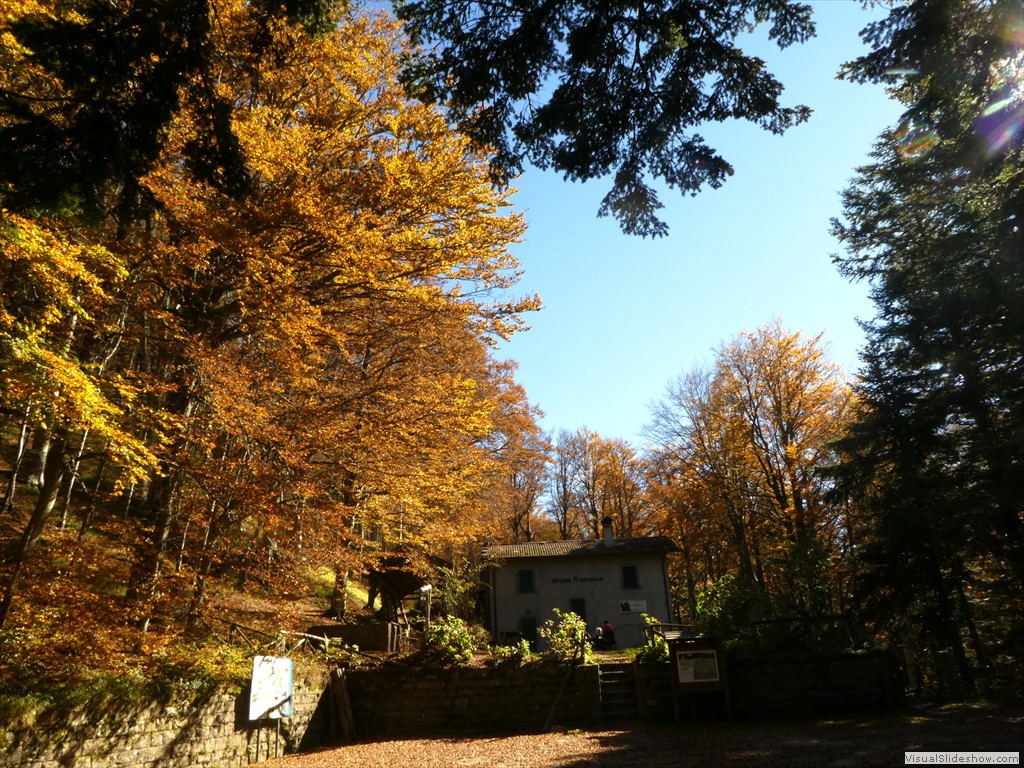 P1040100