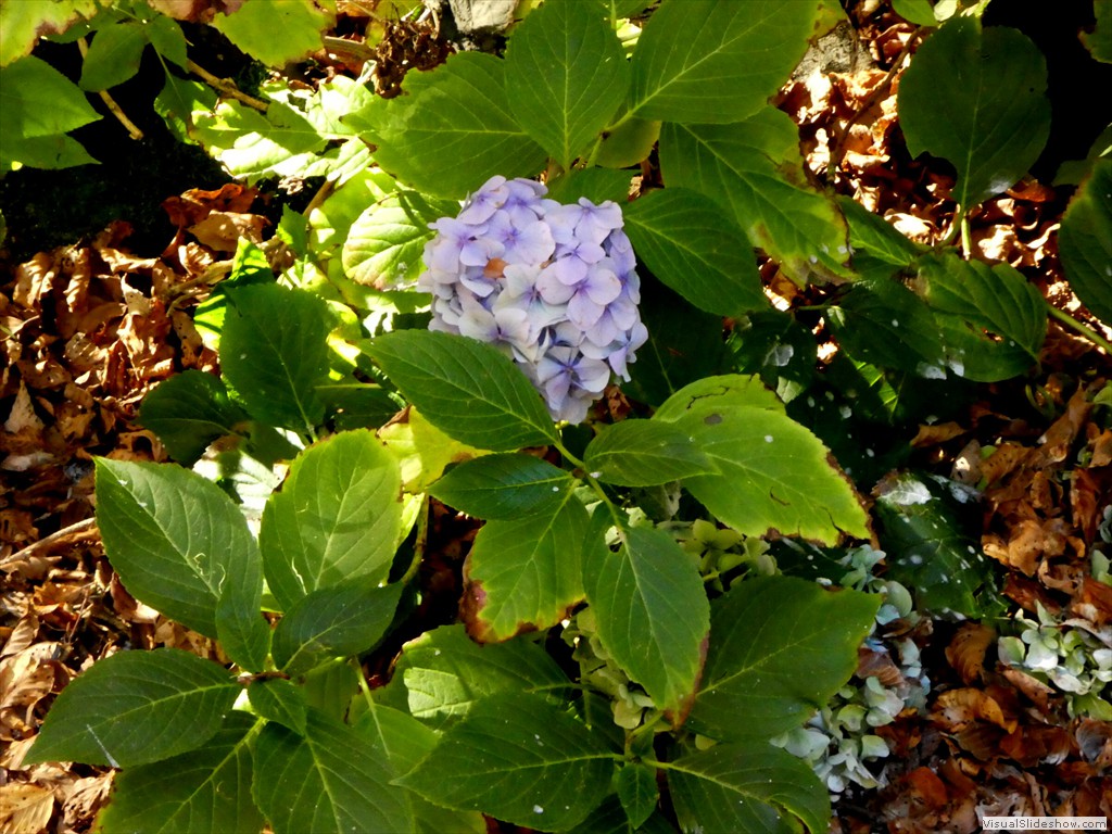 P1040109