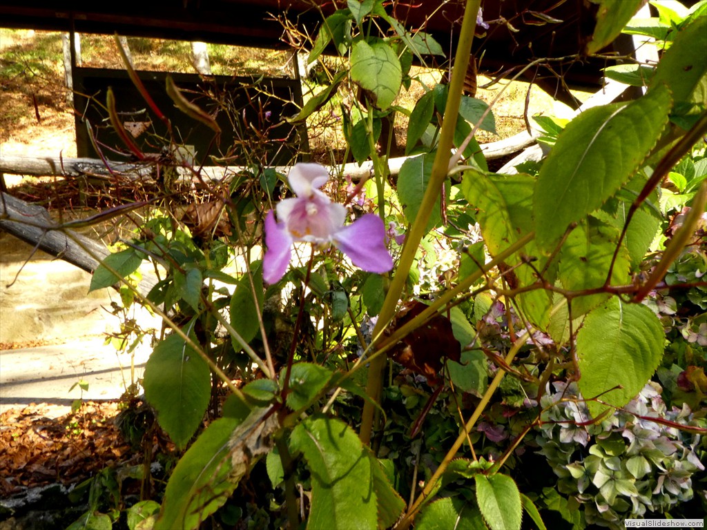 P1040111