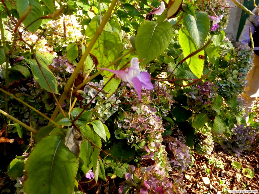 P1040112