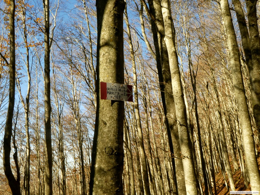 P1040134