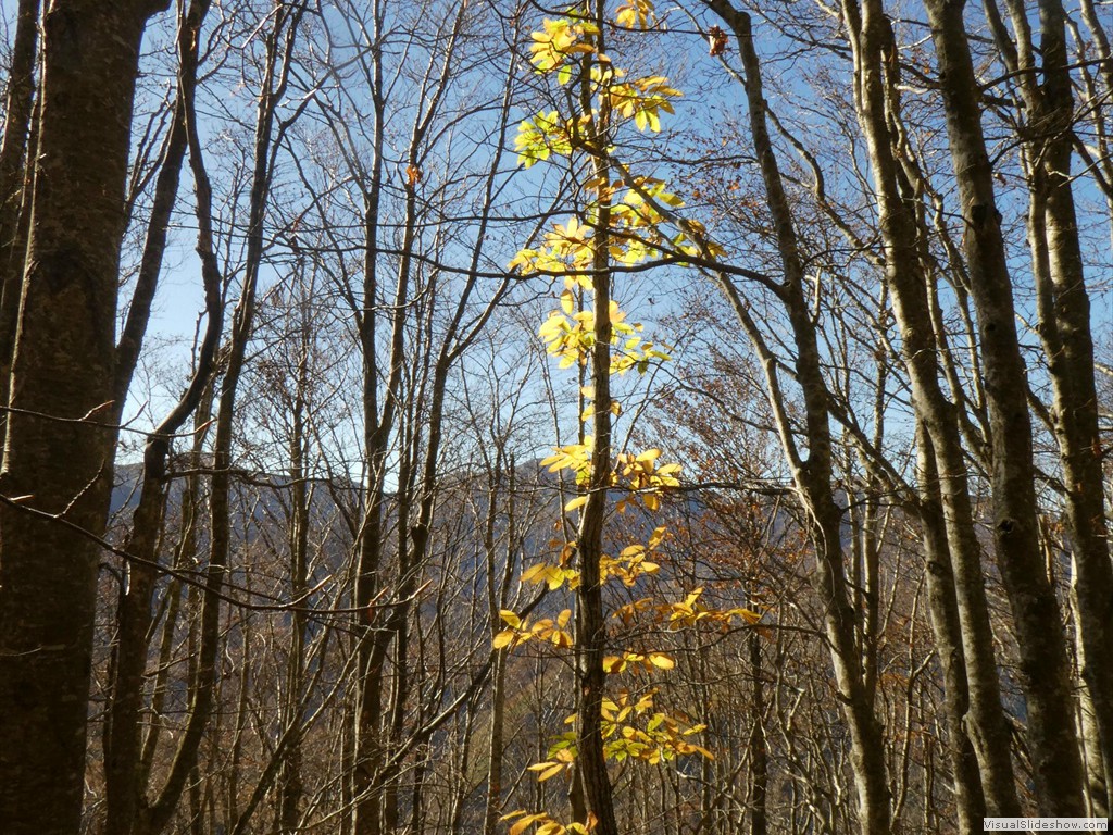 P1040135