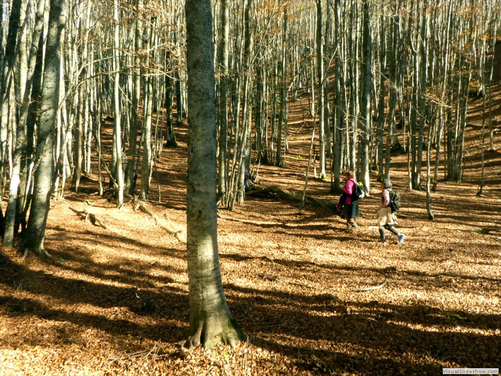 P1040136