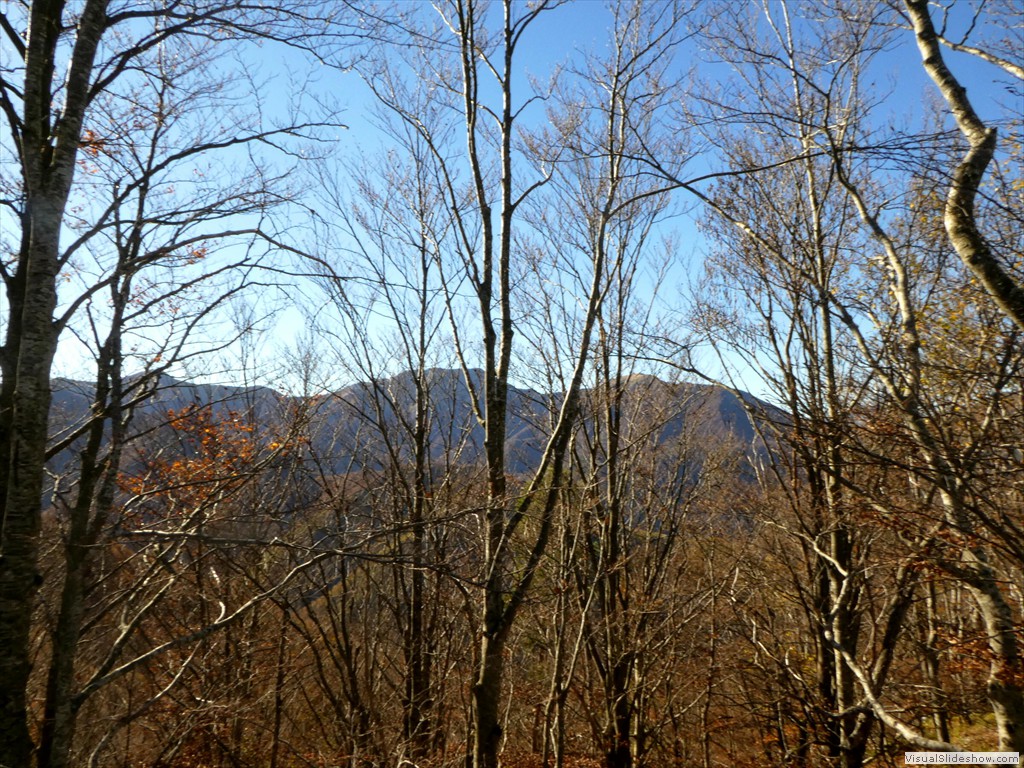 P1040139