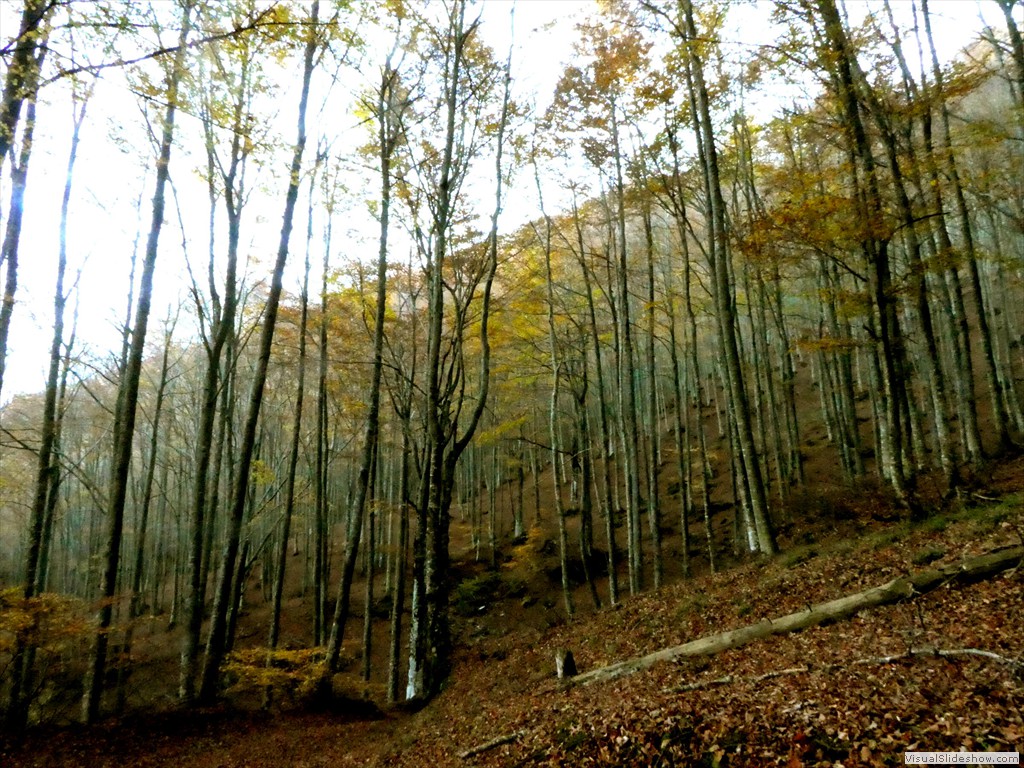 P1040140