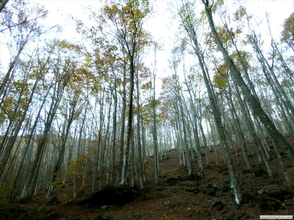 P1040141
