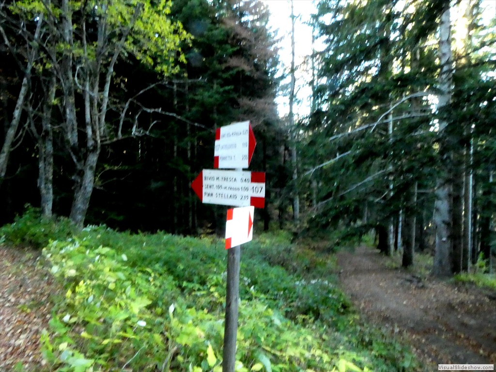 P1040142