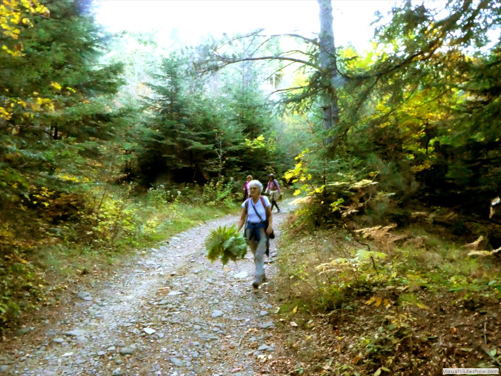 P1040144