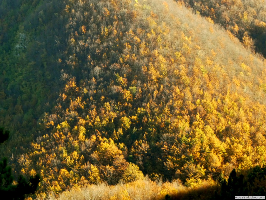 P1040146